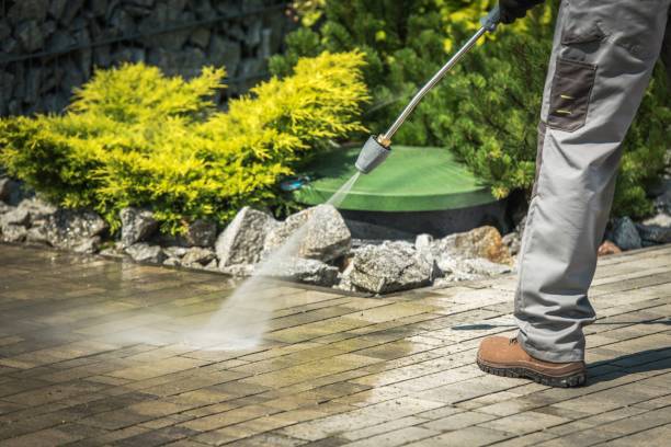  New Tazewell, TN Pressure Washing Pros