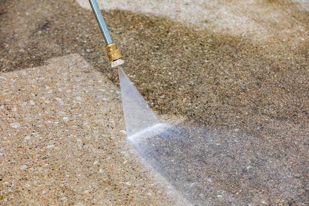 Best Factory Floor Cleaning  in New Tazewell, TN