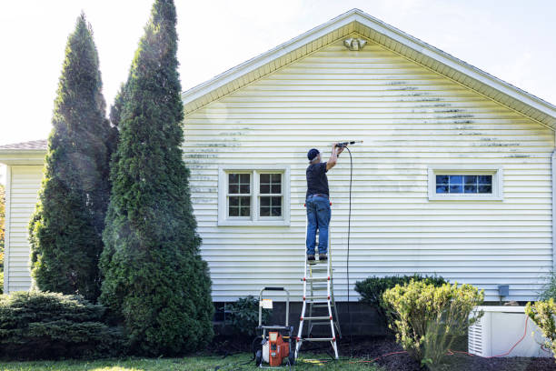 Best Historic Building Restoration  in New Tazewell, TN